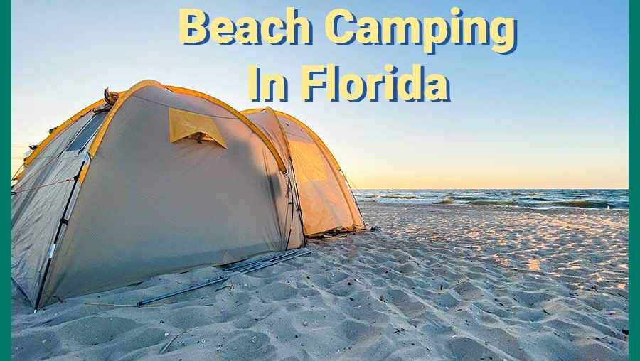 Beach Camping In Florida