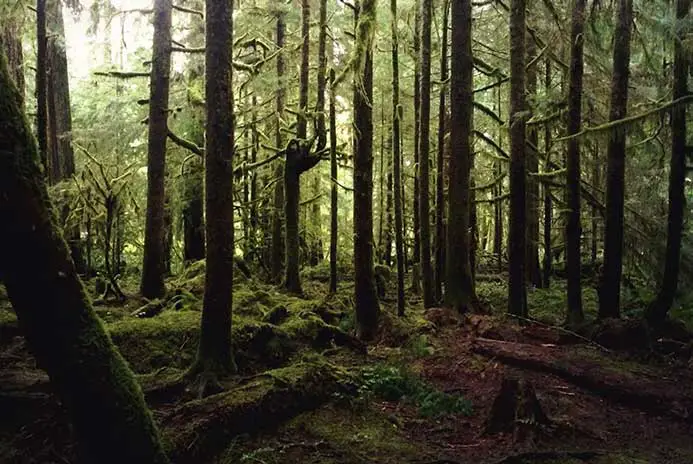 Olympic National Park Wilderness Camping Permits