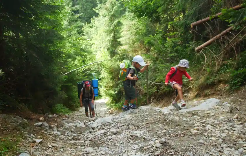 Hiking For Summer Camp Field Trip Ideas