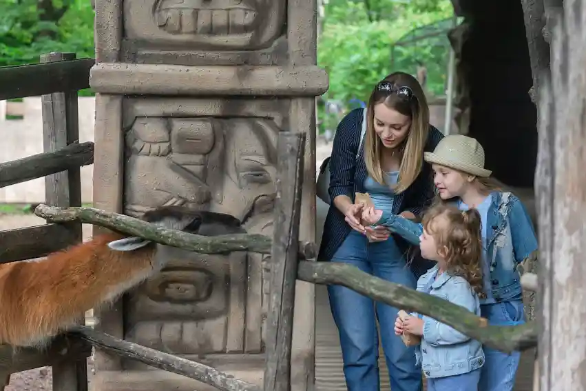 Visit Zoos For Summer Camp Field Trip Ideas