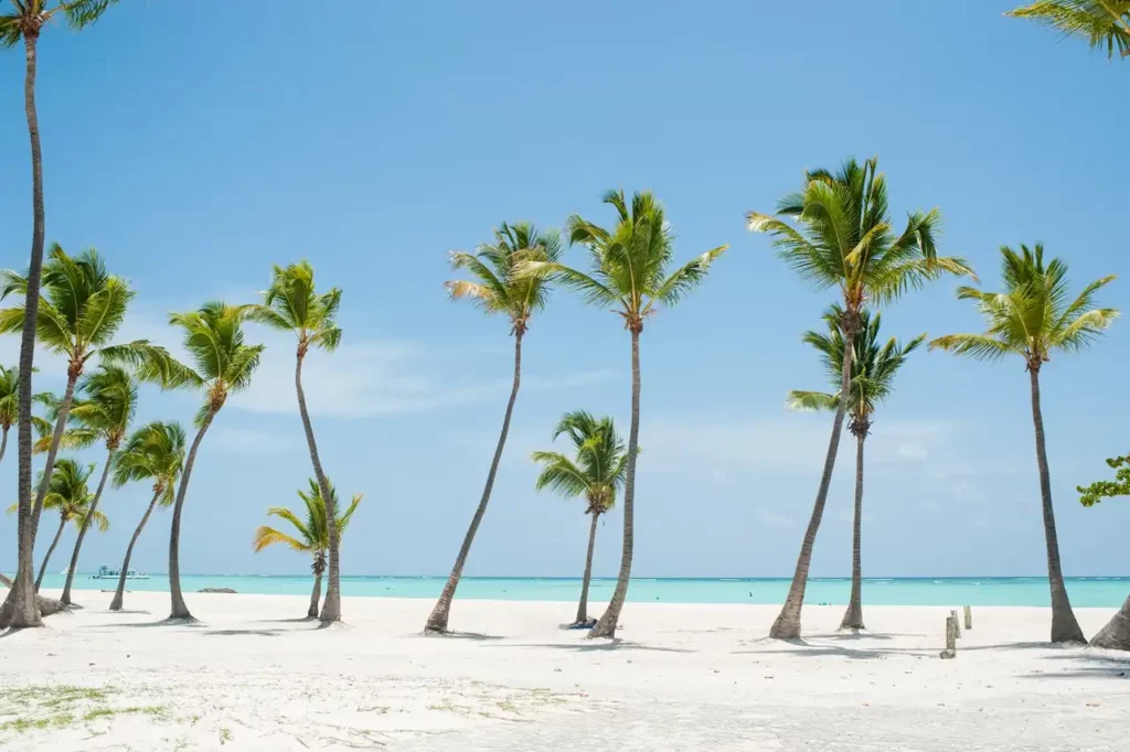 Juanillo beach palm trees beach